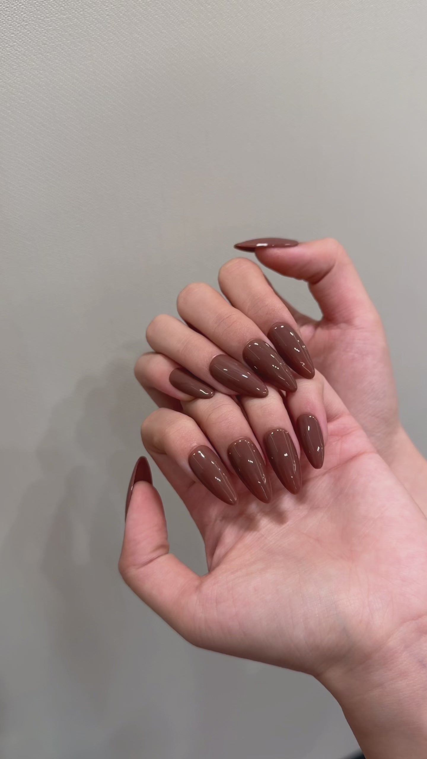 Brown Elegant Daily Wear Press - On Nails